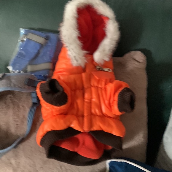 Surprise pet bundles in every size some new or tried on some in wrapping - Picture 4 of 12